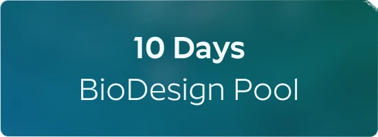 10-days.webp