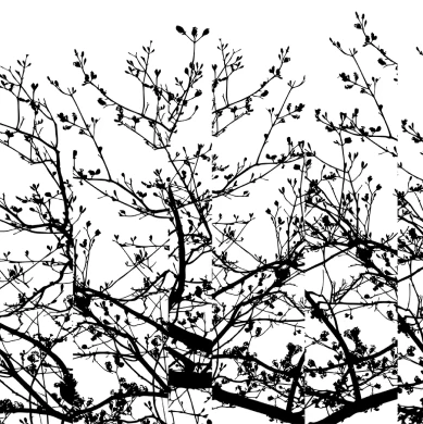 Branches