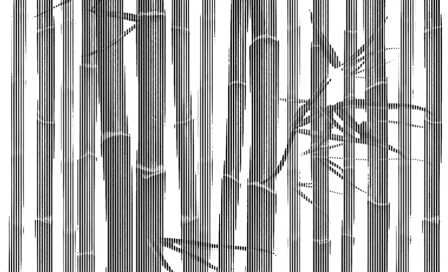 bamboo leaves banner img