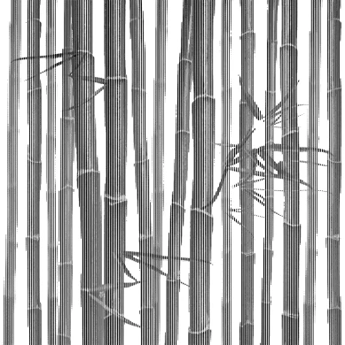 graphic concrete pattern collection bamboo leaves