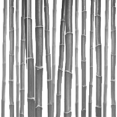 graphic concrete pattern collection bamboo